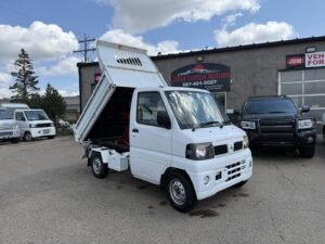 2005 Mitsubishi Minicab Mini Dump 4WD #119